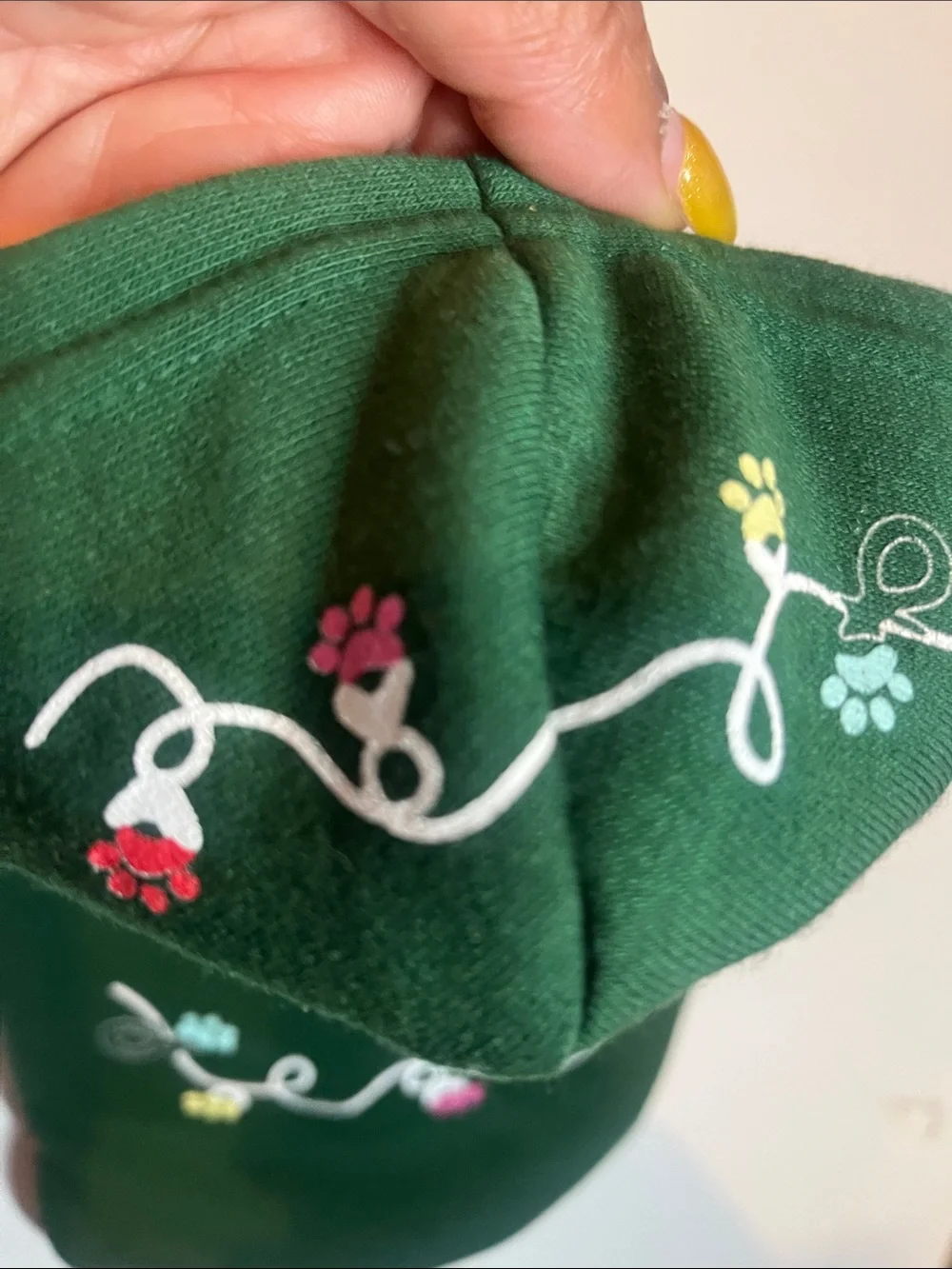Santa Pawz Green Holiday Dog Hoodie Sweater